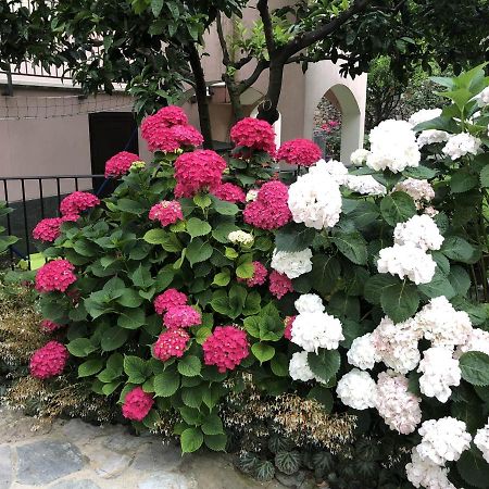 B&B Ca' Du Brigidin Tovo San Giacomo Екстер'єр фото