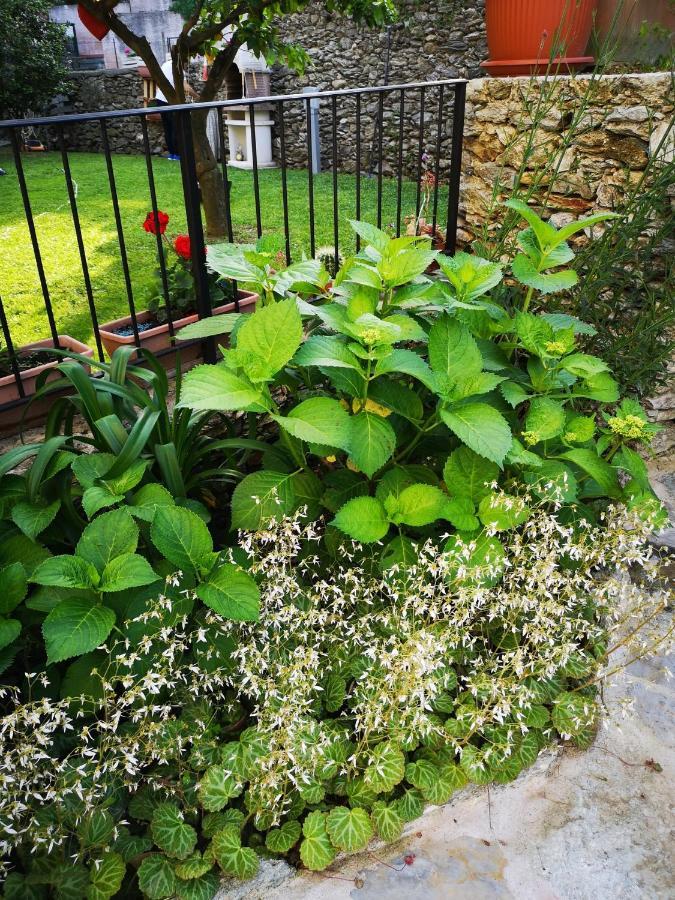 B&B Ca' Du Brigidin Tovo San Giacomo Екстер'єр фото