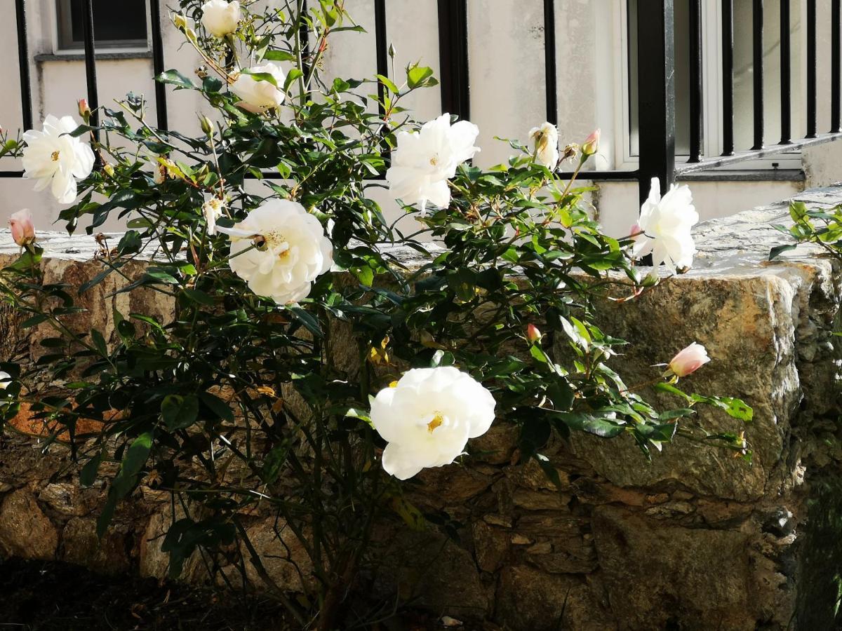 B&B Ca' Du Brigidin Tovo San Giacomo Екстер'єр фото
