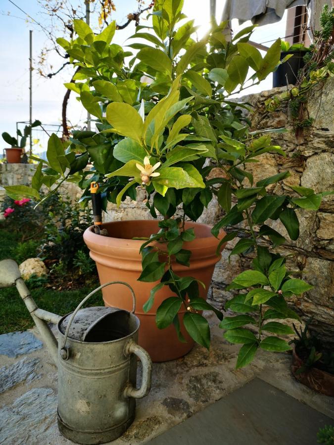B&B Ca' Du Brigidin Tovo San Giacomo Екстер'єр фото