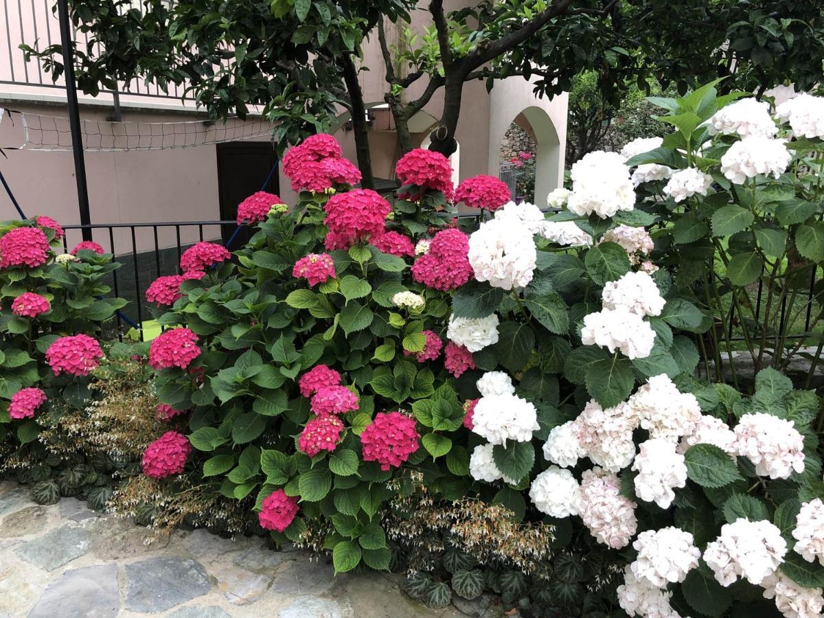 B&B Ca' Du Brigidin Tovo San Giacomo Екстер'єр фото